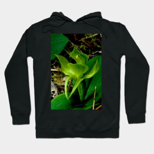 Rare Bird Hoodie